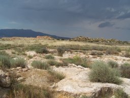 Cerro de la Almagra 2004